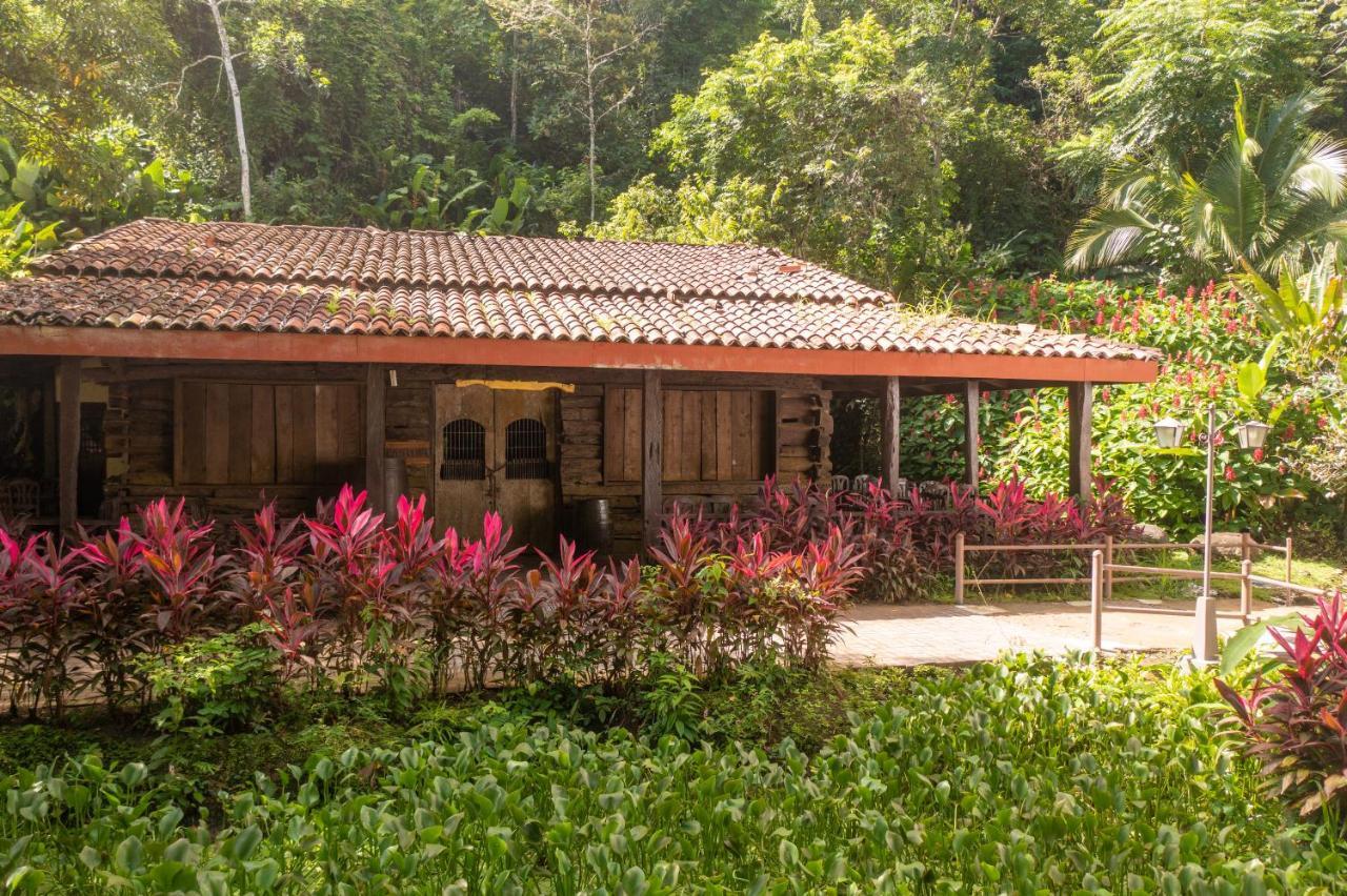 Villa Lapas Jungle Village Tárcoles Exterior foto