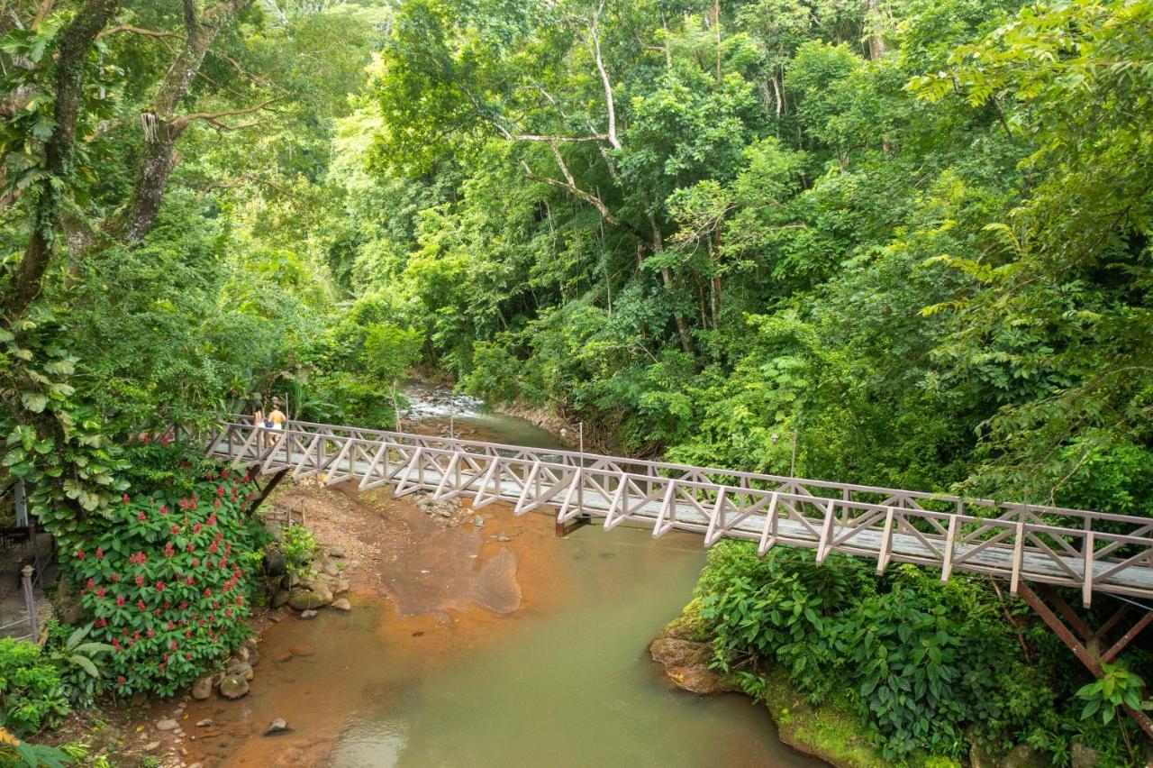 Villa Lapas Jungle Village Tárcoles Exterior foto